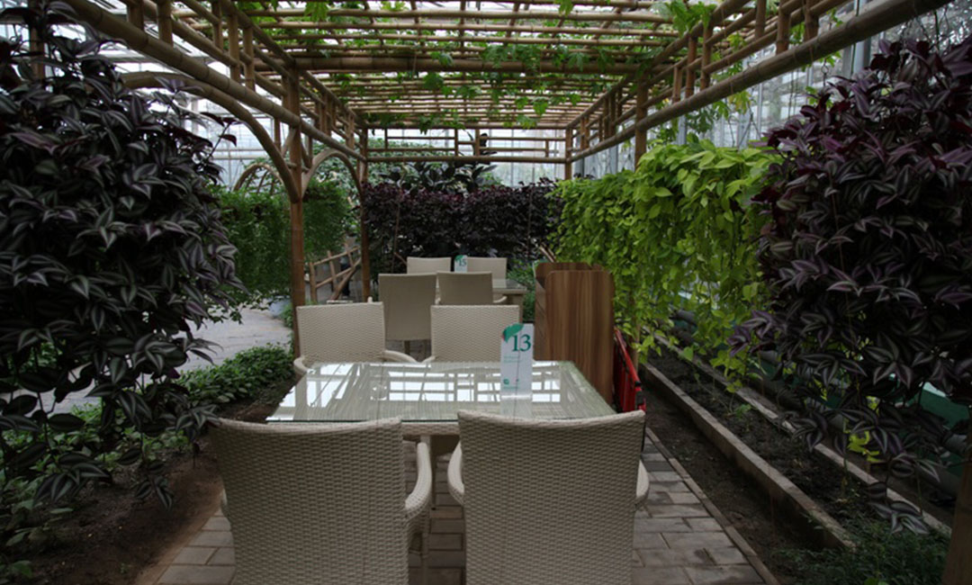 红桥康柏宇品牌文案撰写案例