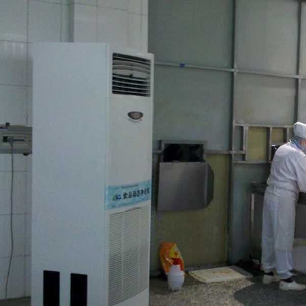 红桥食品正负离子空气杀菌器